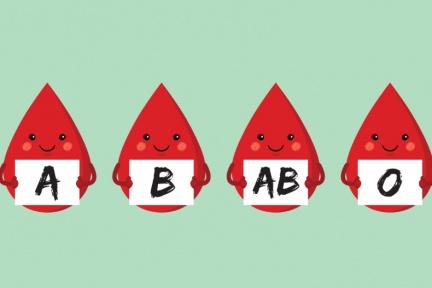 血型關乎健康！A型循環不良、B型容易肥胖，「這血型」最需要注意身體