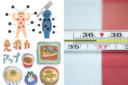 體溫高不容易胖！？日本最新研究發現體溫少X度，代謝直接降低12％