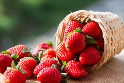 連醫生也推薦的超簡單「草莓減肥法」！這2個時段吃最有效，今年冬天就能輕鬆瘦
