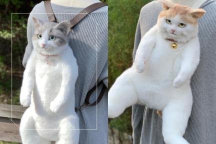 貓咪這樣背沒問題？日本爆紅「巨型喵喵包」這樣曬貓主子才時尚！