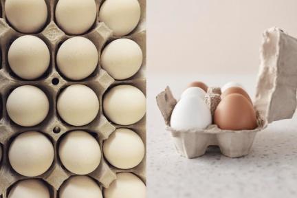搶到雞蛋也要懂保存啊！放冰箱門竟然大錯特錯，專家揭正確保存方法