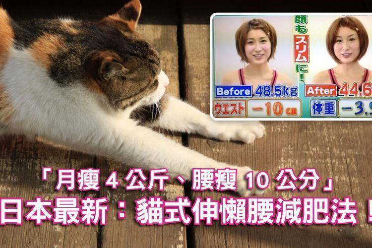 「月瘦4公斤、腰瘦10公分」日本最新：貓式伸懶腰減肥法！性感小野貓就是妳