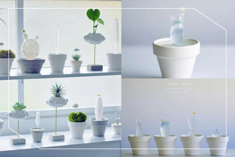 植物苦手也能養！日本超夯「透明仙人掌」，宛如藝術品掀蒐集熱潮