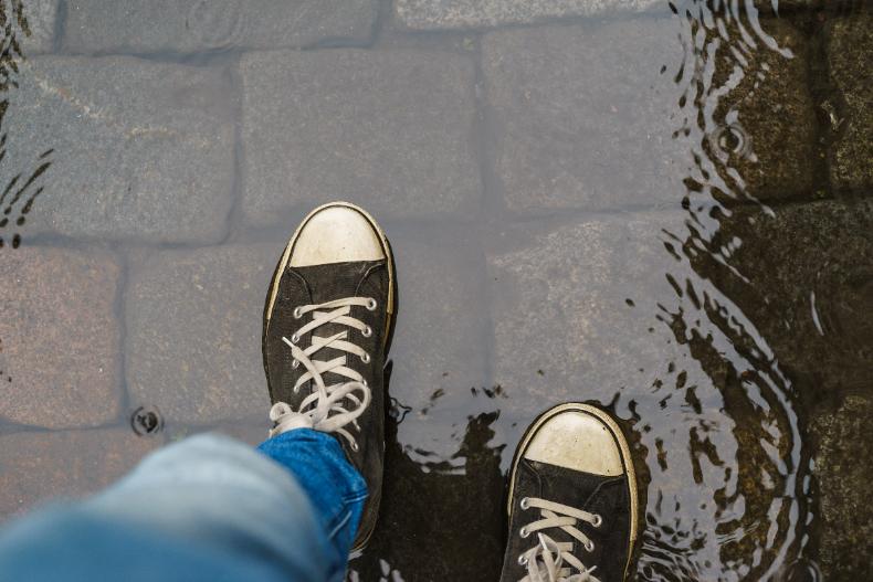 下雨天最怕鞋子濕！跟著這4個「鞋子速乾術」步驟，鞋子塞「這東西」再也不怕濕