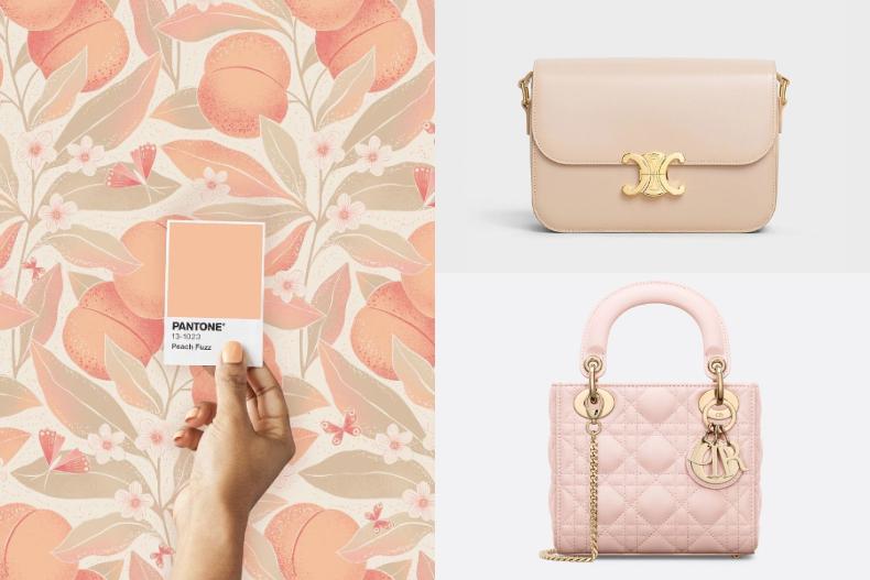 2024 Pantone色「Peach Fuzz柔和桃」正流行！盤點15款精品、小眾品牌包包推薦