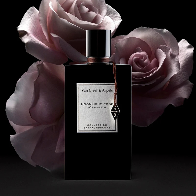 黑色情人節5款高質感「黑色系香水」推薦 梵克雅寶Van Cleef & Arpels 月夜玫瑰淡香精