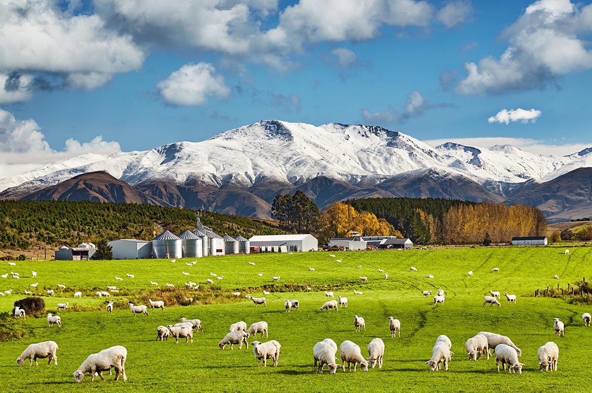 6個國外避暑渡假勝地推薦 紐西蘭南島