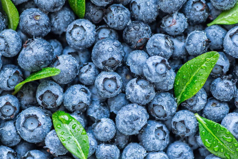玩美研究室６月號 減肥瘦身必吃食物5：藍莓