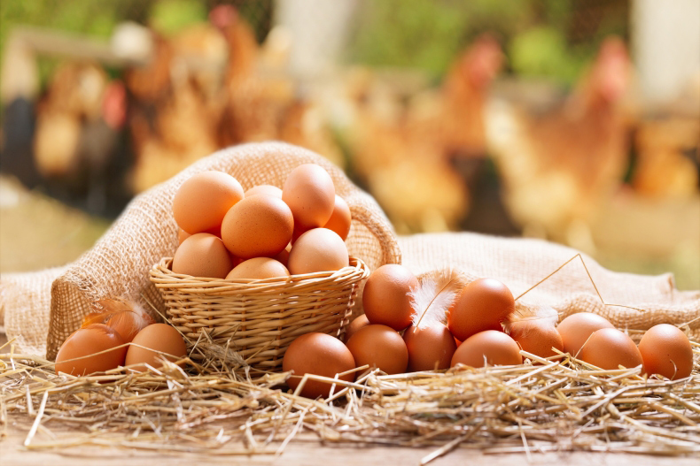 玩美研究室６月號 減肥瘦身必吃食物6：雞蛋
