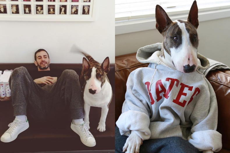 Marc Jacobs的愛犬Neville Jacobs身價超過百萬