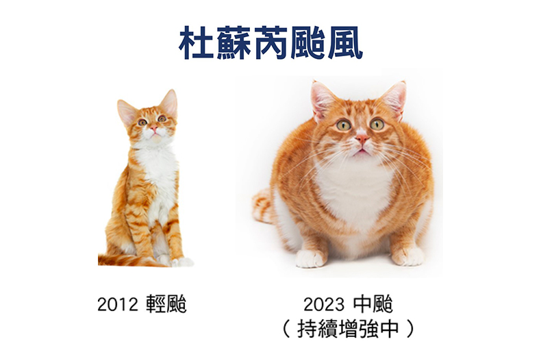 台灣5件超有趣寵物地方新聞